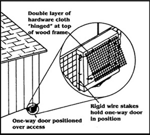 one-way door