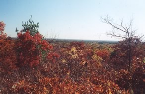 Vista from Rattlesnake Hill