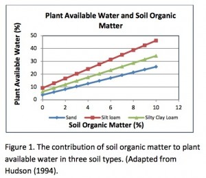 Soil organic matter holds water